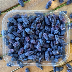 Haskap smrznute bobice 500g