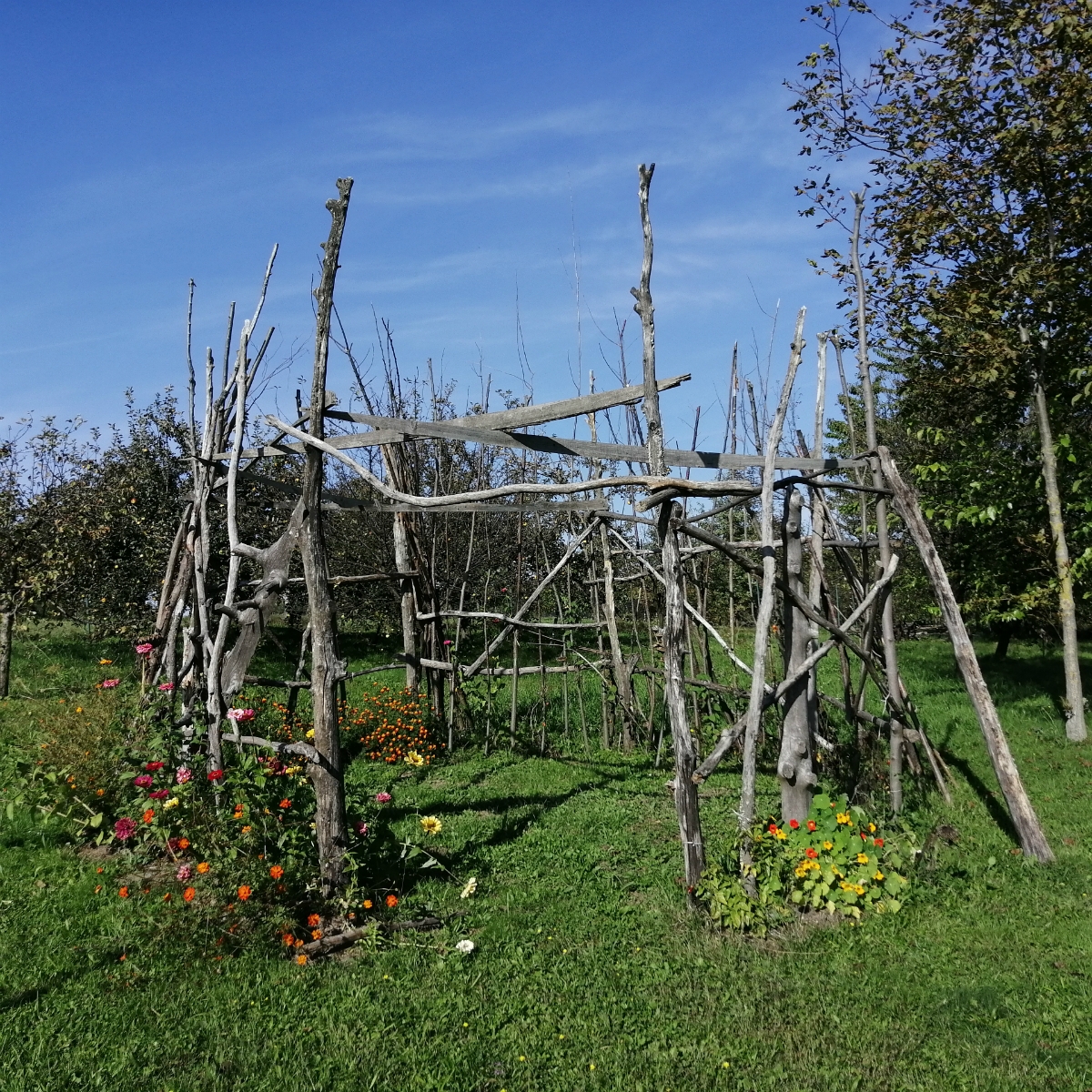 blog-img4