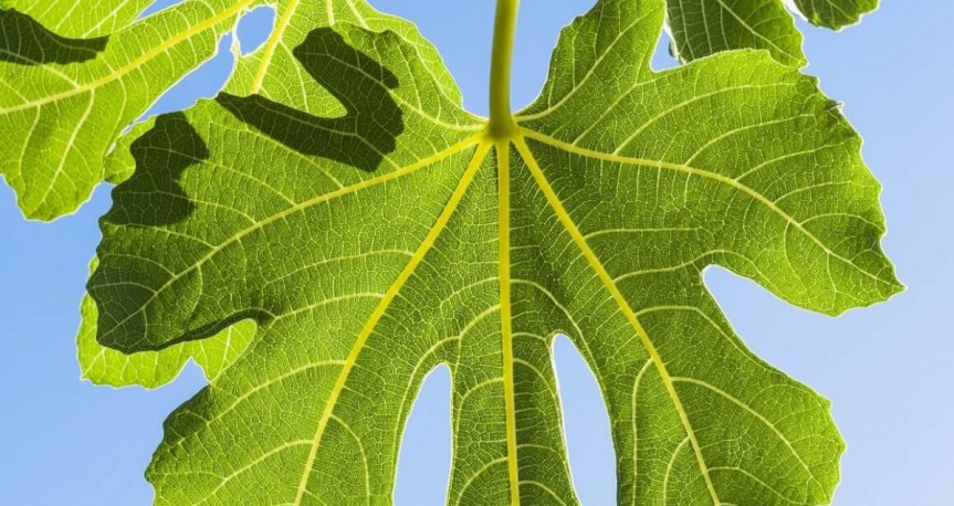 blog image