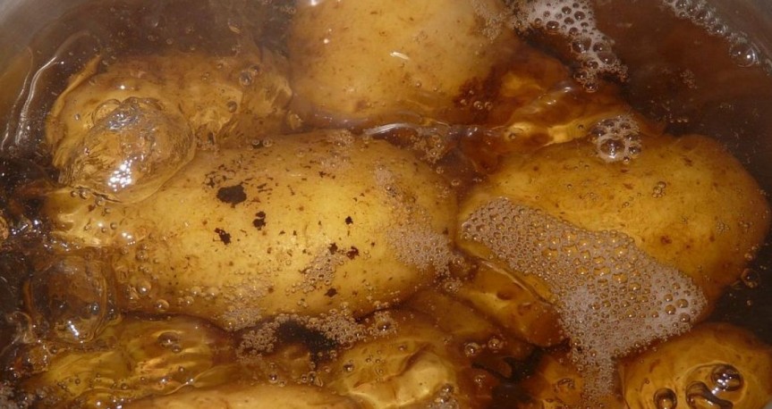 blog image