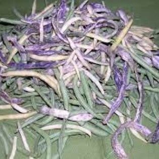 PG Agropal
