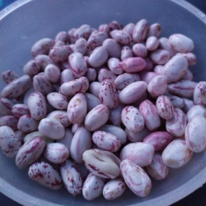 Grah Trešnjevac 1kg