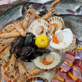 Ribarnica Ancora