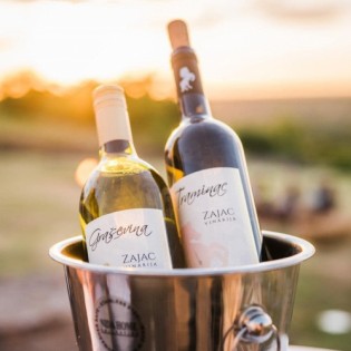 Vinarija Zajac